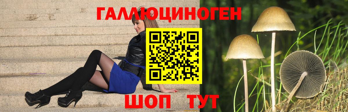 Корсаков  Галлюциногенные грибы прущие грибы  Вход с VPN 